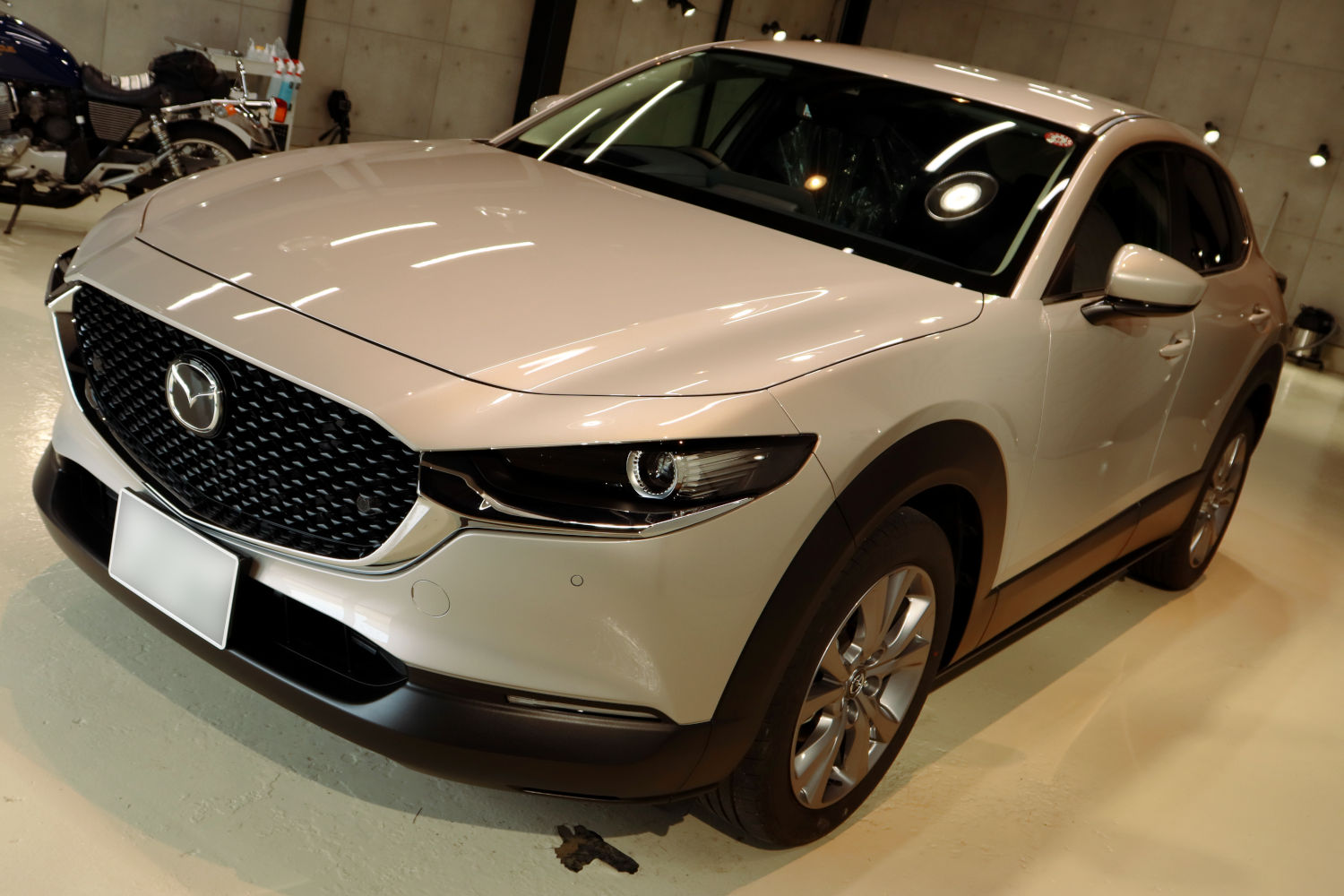 cx30-2